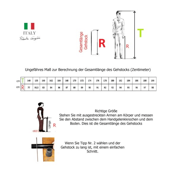 Walking stick 90M50Z01N300