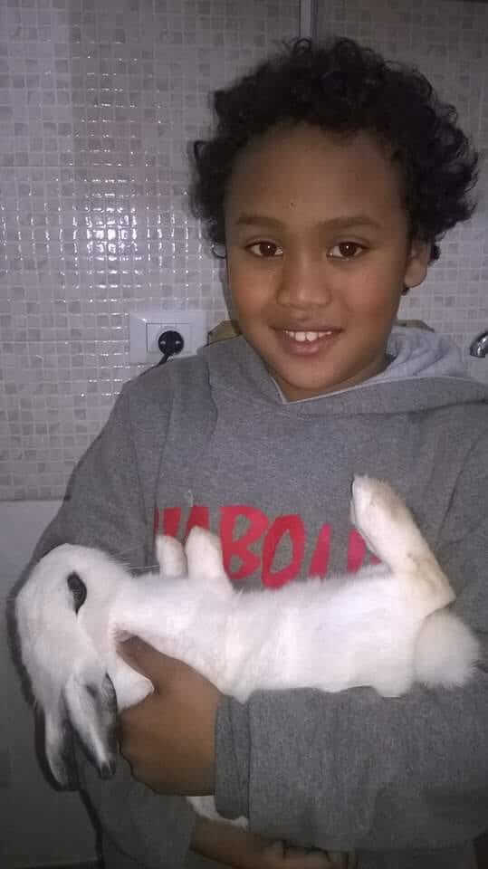 A young boy smiling while holding a white rabbit in his arms.